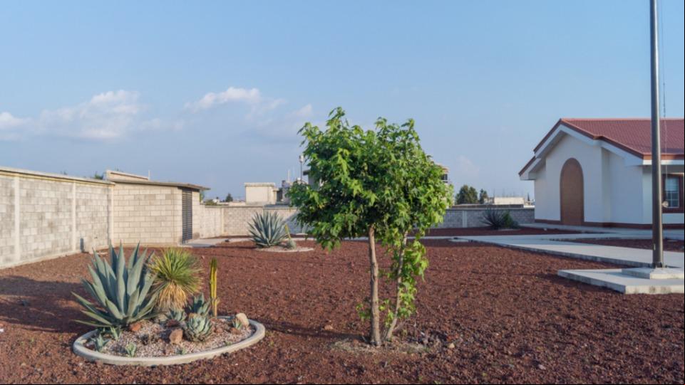 Mexico-Area-desertic-garden.png